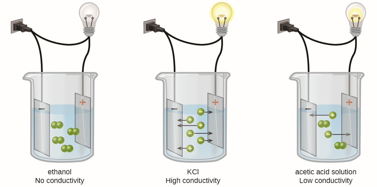 Experimental setup showing the different electrical conductivities of strong, weak, and nonelectrolyte solutions.
